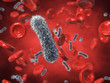 Illustration: Bacteria and red blood cells , contaminated blood Bacteria and red blood cells , contaminated blood