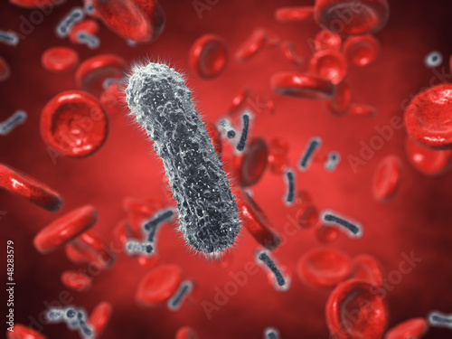 Illustration: Bacteria and red blood cells , contaminated blood Bacteria and red blood cells , contaminated blood