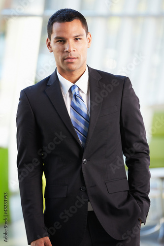 Photo: Portrait Of Businessman Standing Modern Office Reception Portrait Of Businessman Standing Modern Office Reception
