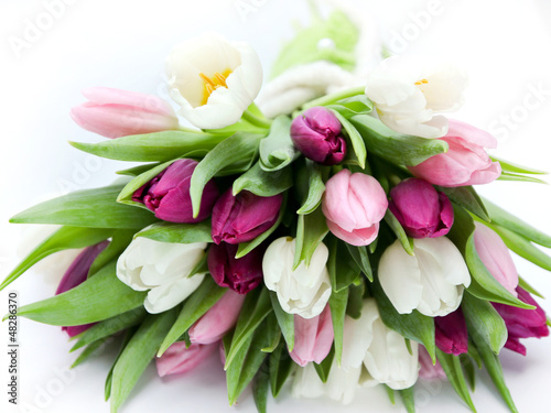 Photo: Tulpenstraß liegend Tulpenstraß liegend