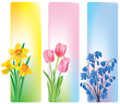 Spring flowers banners