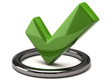 Tick icon - green tick mark in silver circle, 3d