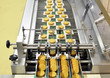 Lebensmittelindustrie Keksherstellung / food production