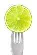 lime slice on white