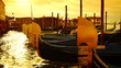 Some attractions of Venice city in Italy