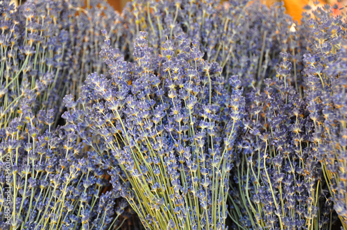 Photo: lavendel lavendel