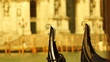 Some attractions of Venice city in Italy