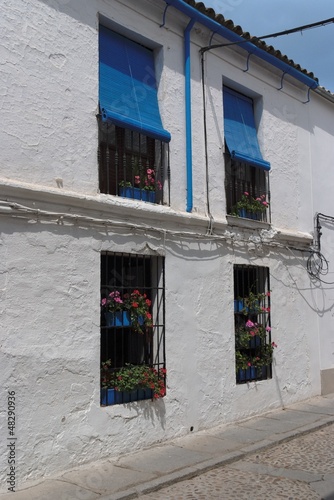Photo: Plastered wall of Mediterranean house with four windows Plastered wall of Mediterranean house with four windows