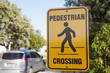 Schild Pedestrian Crossing IV
