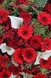 Floral arrangement in red and white