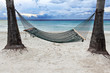 Beach Hammock