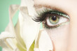 Beautiful Eye