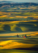 Photo: Red Barn in the Morning Red Barn in the Morning