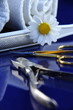Foto: instrumente instrumente