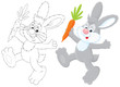 Bunny with a carrot