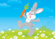 rabbit friendly smiling and jumping with a carrot