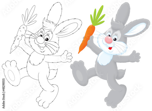 Illustration: Bunny with a carrot Bunny with a carrot