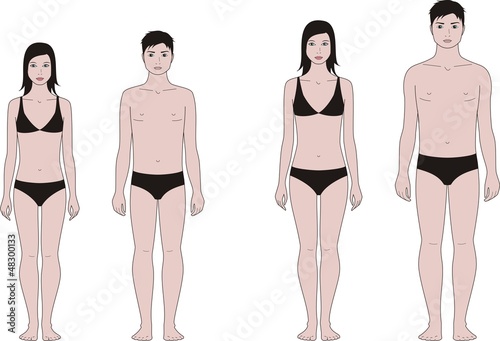 Vector: Vector illustration of teenager's figure: 12 and 15 years Vector illustration of teenager's figure: 12 and 15 years