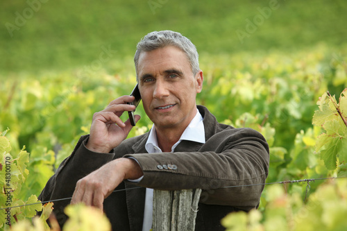 Photo: Buy, the wine is gonna be good this year. Buy, the wine is gonna be good this year.