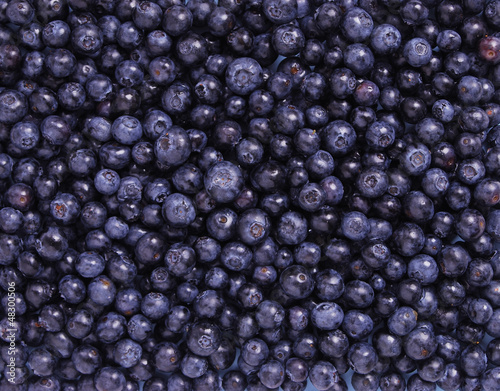 Photo: Freshly Blueberries Freshly Blueberries