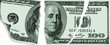 Lacerated dollar