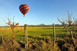 Montgolfière