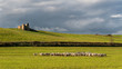 Campagna romana