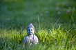 Foto: Buddha Meditation auf der grünen Wiese Buddha Meditation auf der grünen Wiese