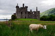 Kilchurn castle