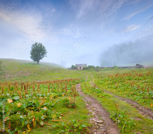 Photo: Beautiful summer landscape in the old mountain ranch Beautiful summer landscape in the old mountain ranch