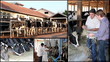 Video: Dairy Farm - Montage Dairy Farm - Montage
