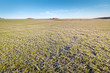 Photo: Frozen field. Frozen field.
