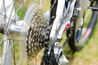 Part of the Mountain Bike wheel