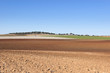 Ploughed field