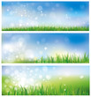 Vector of spring background, sky and grass.
