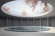 Architectual concept with spring