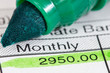 Payslip with monthly wage