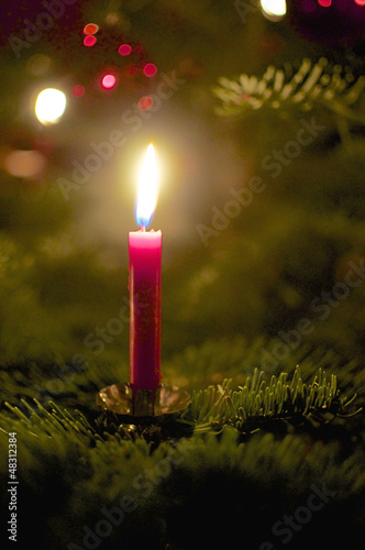 Photo: Candle on a Christmas Tree Candle on a Christmas Tree