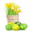 Colored Easter eggs and crocuses