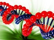 DNA Abstract
