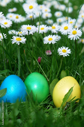 Photo: easter easter