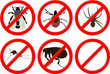 no insects