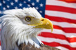 Aigle chauve et drapeau symboles USA