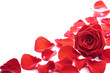 Photo: red rose petals isolated red rose petals isolated