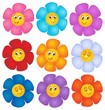 Flower theme image 4