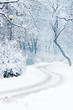 Winter park with trees, lampposts and tracks