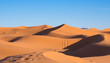 Camel Caravan