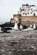 Photo: Essaouira Fortress, Morocco, Africa Essaouira Fortress, Morocco, Africa