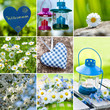 Garden collage