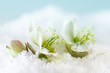 Photo: Snow flowers Snow flowers